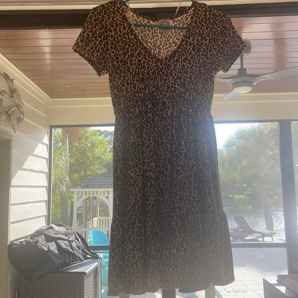 blue rain (FRANCESCAS) cheetah dress size xxs